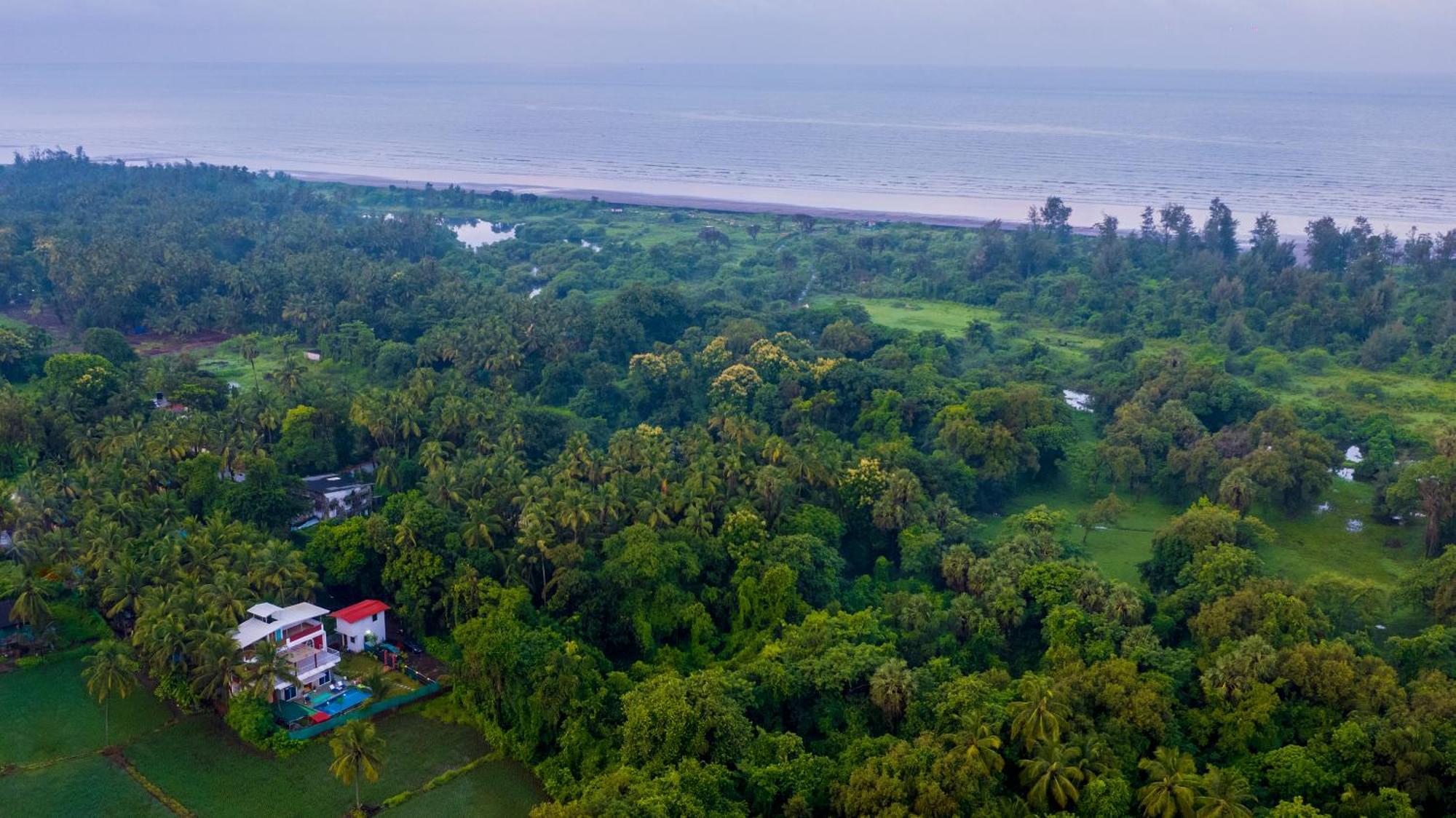 Spicy Mango Villa Elegano - Luxurious Villa Near Nagaon Beach, Alibag Dış mekan fotoğraf